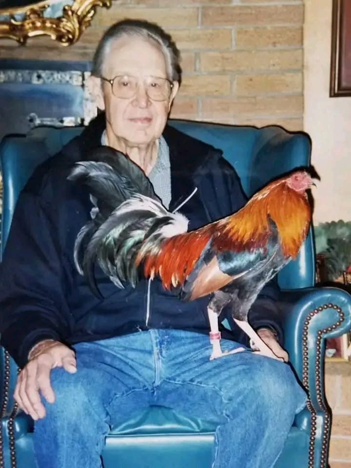 Johnnie Jumper Gamefarm